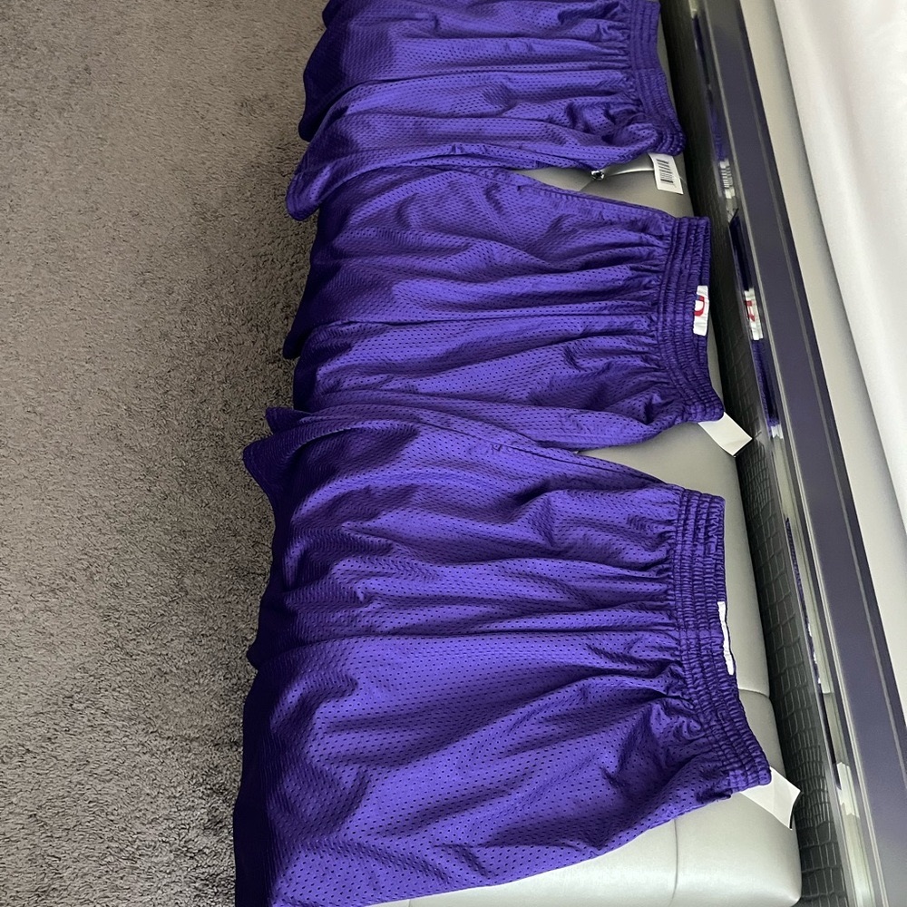 Purple Mesh Athletic Shorts 3pcs